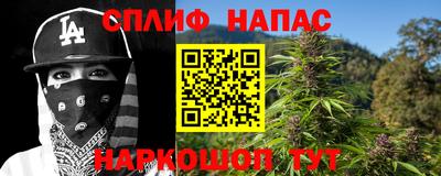 a pvp Гатчина
