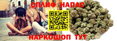 a pvp Гатчина