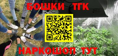 a pvp Гатчина